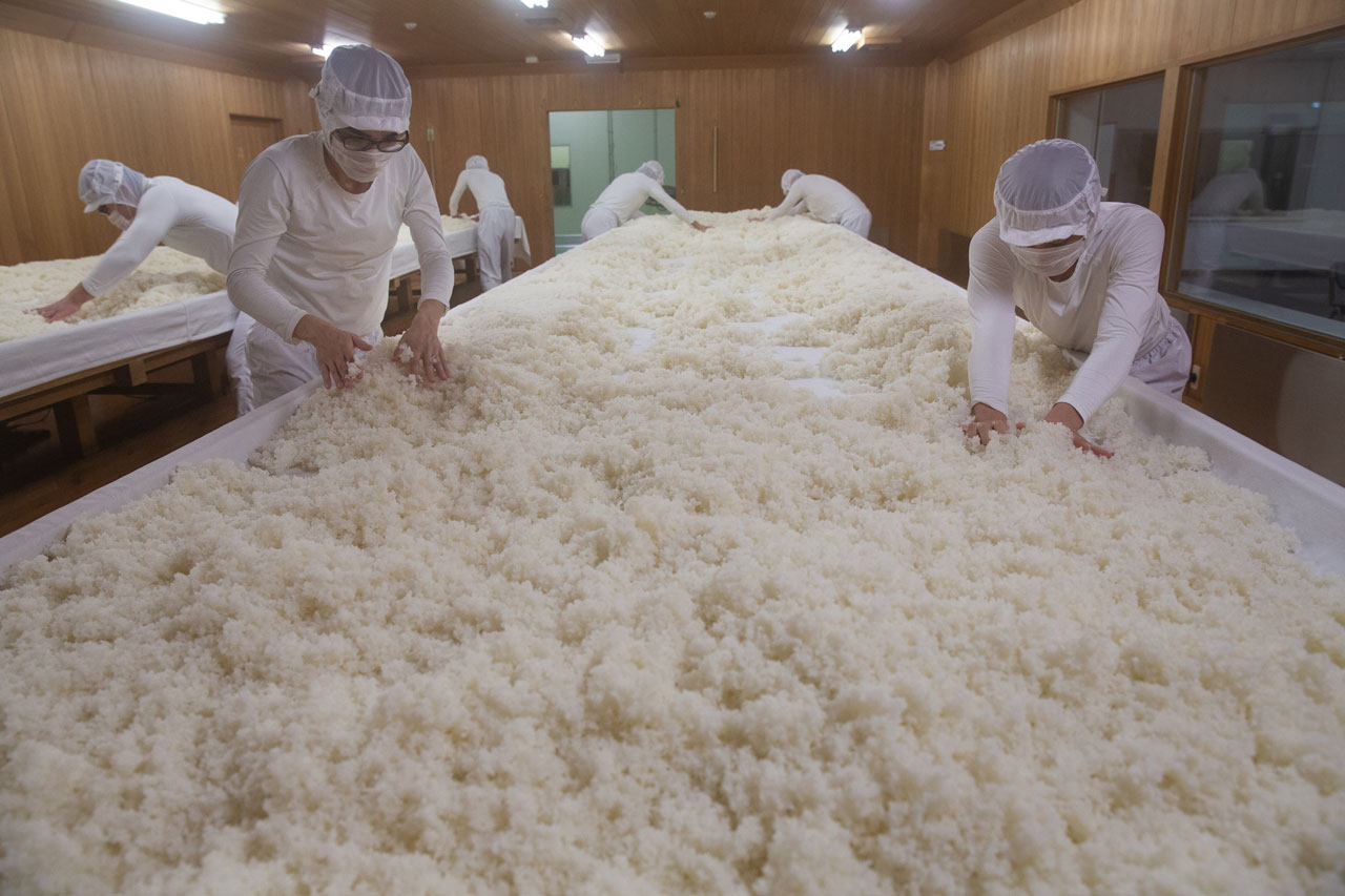 日本酒造り