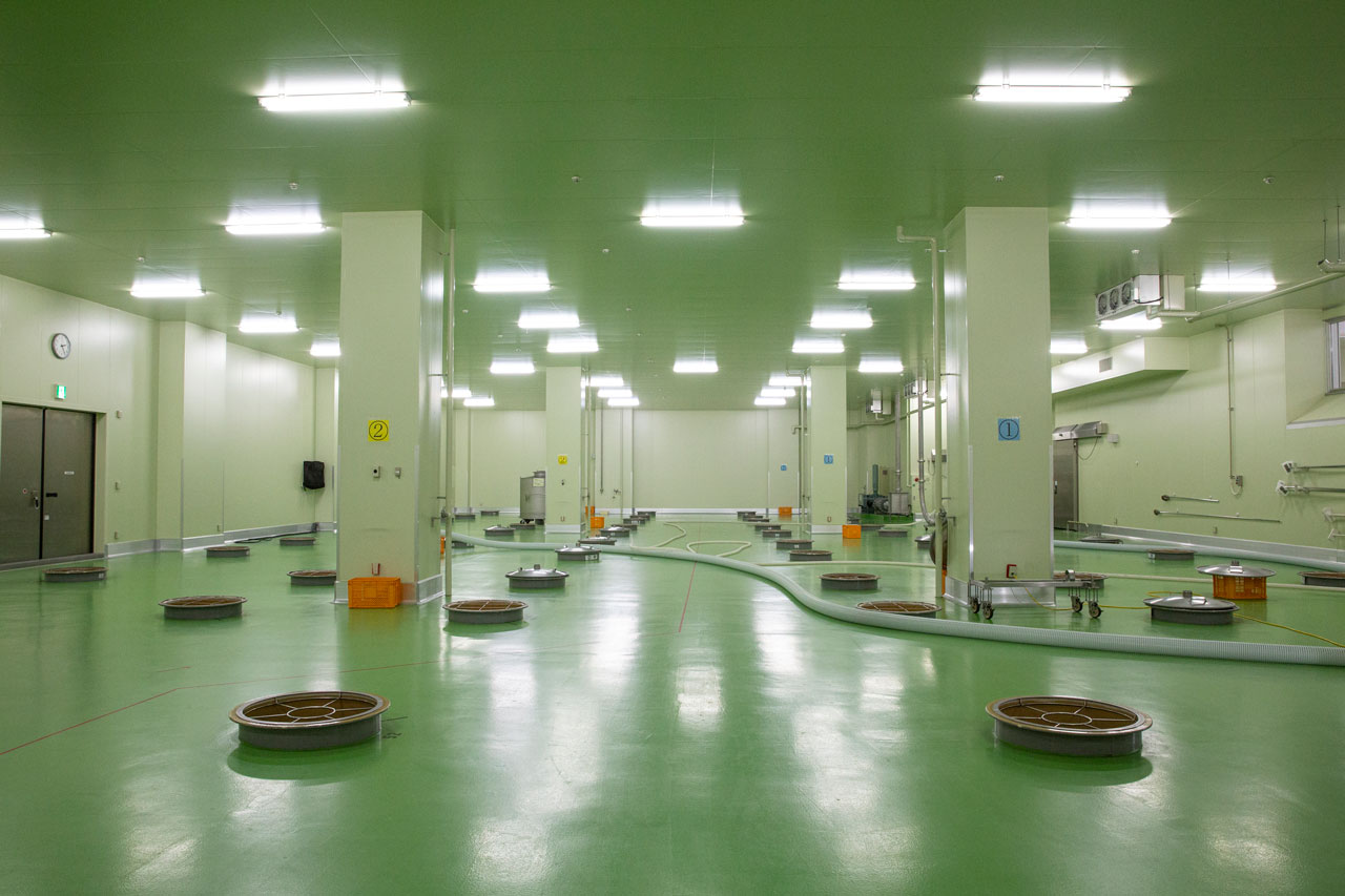 発酵を進めていくもろみの作業場