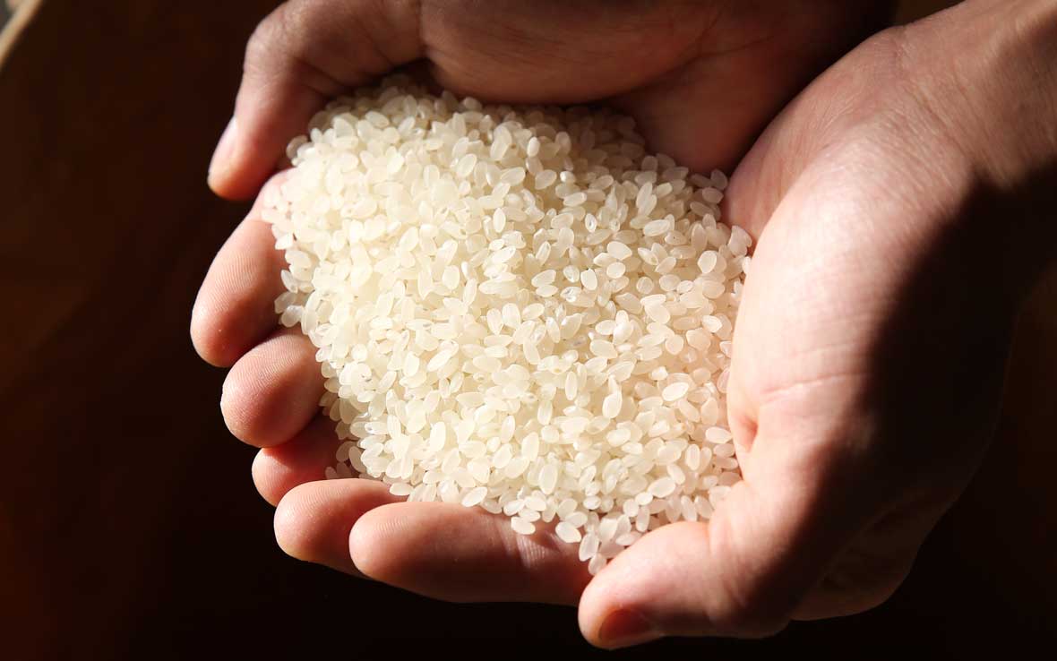 精米を手で掬う